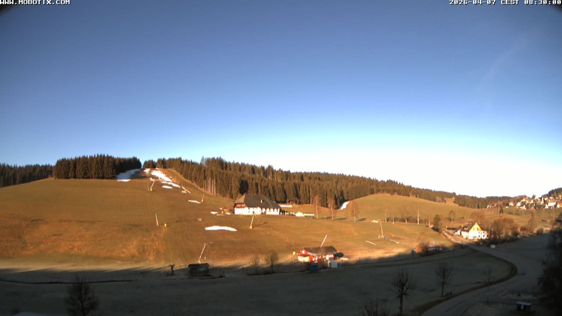 Archiv Foto Webcam Schneeberglift Waldau, Titisee
