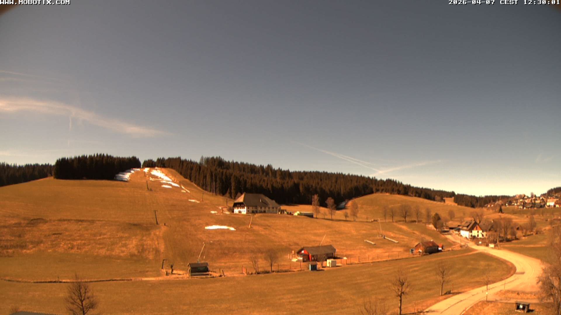 Archiv Foto Webcam Schneeberglift Waldau, Titisee
