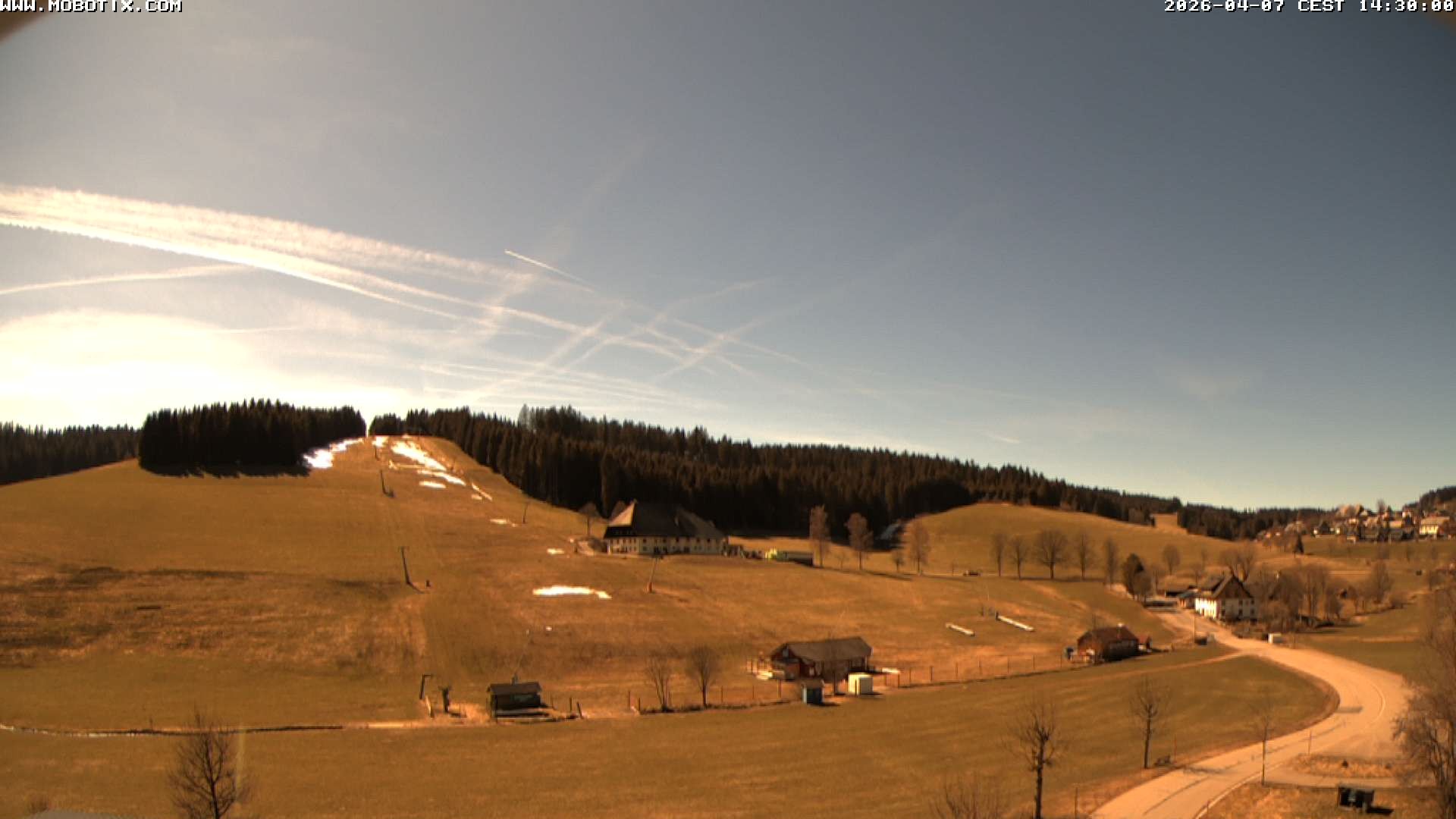 Archiv Foto Webcam Schneeberglift Waldau, Titisee