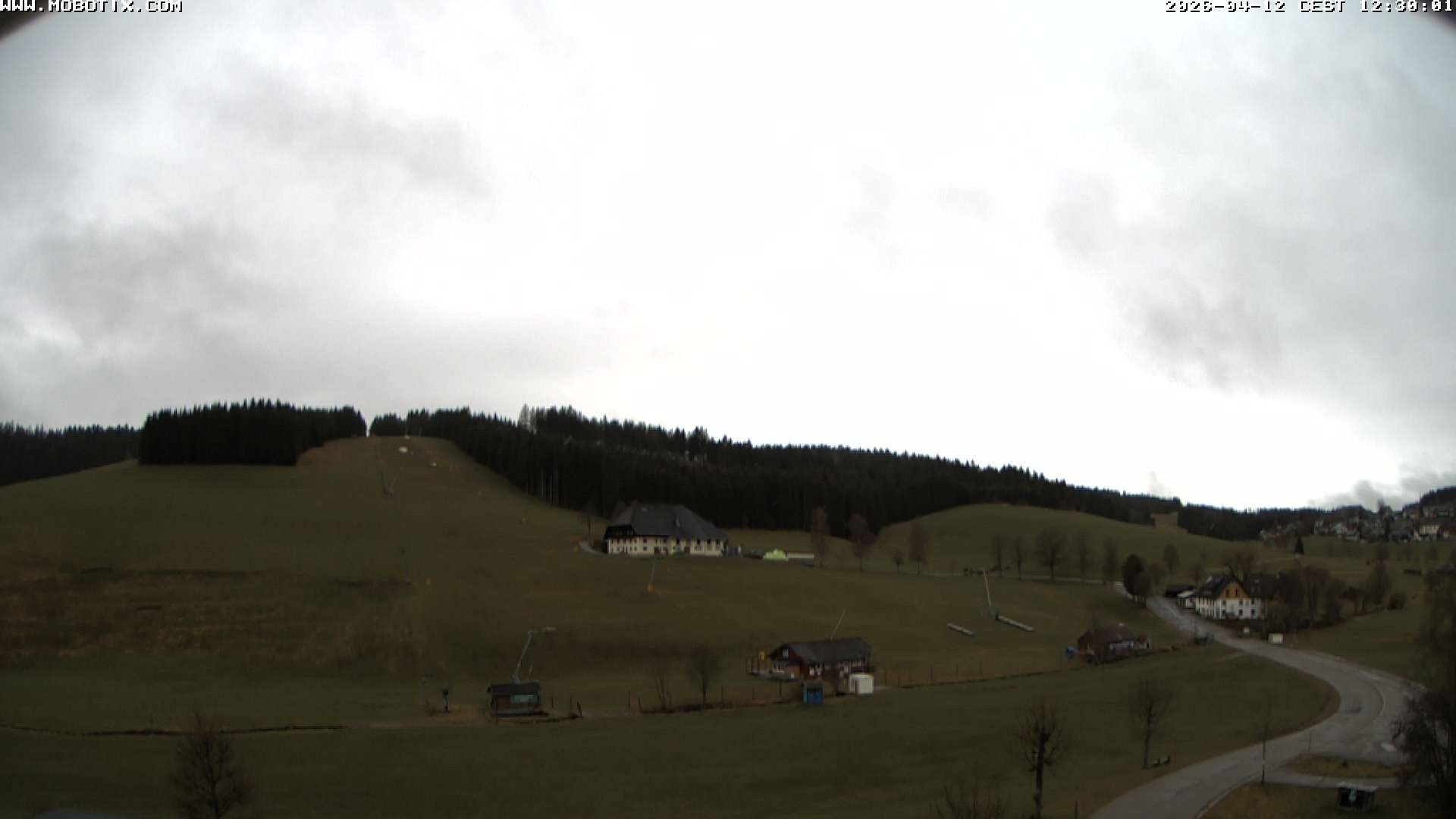 Archived image Webcam Schneeberg ski lift (Titisee)
