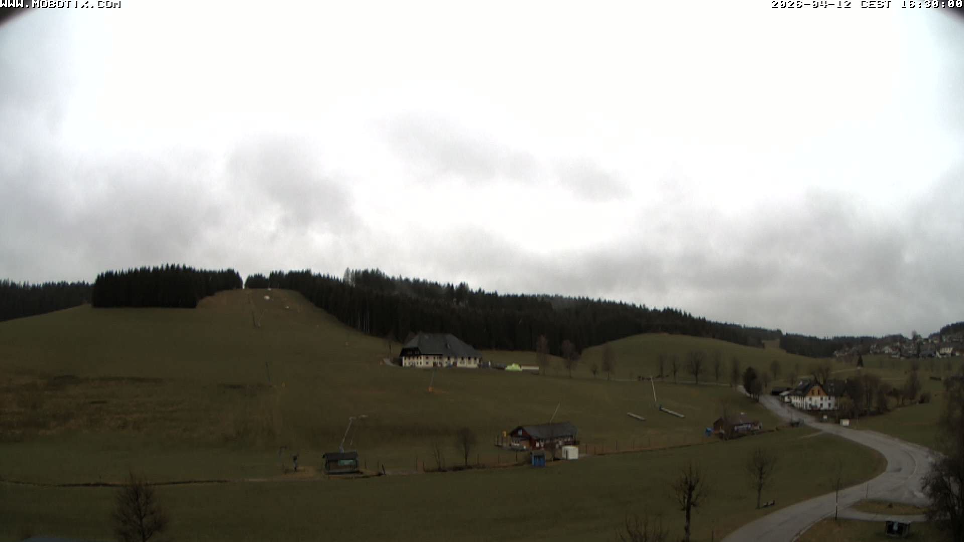 Archived image Webcam Schneeberg ski lift (Titisee)
