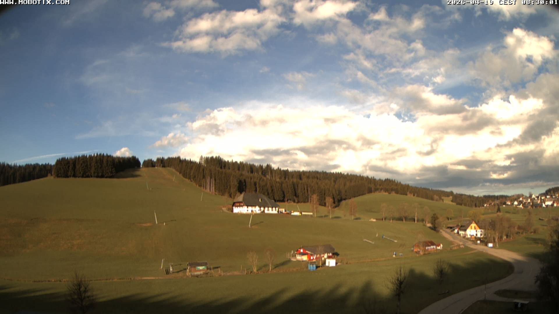 Archiv Foto Webcam Schneeberglift Waldau, Titisee