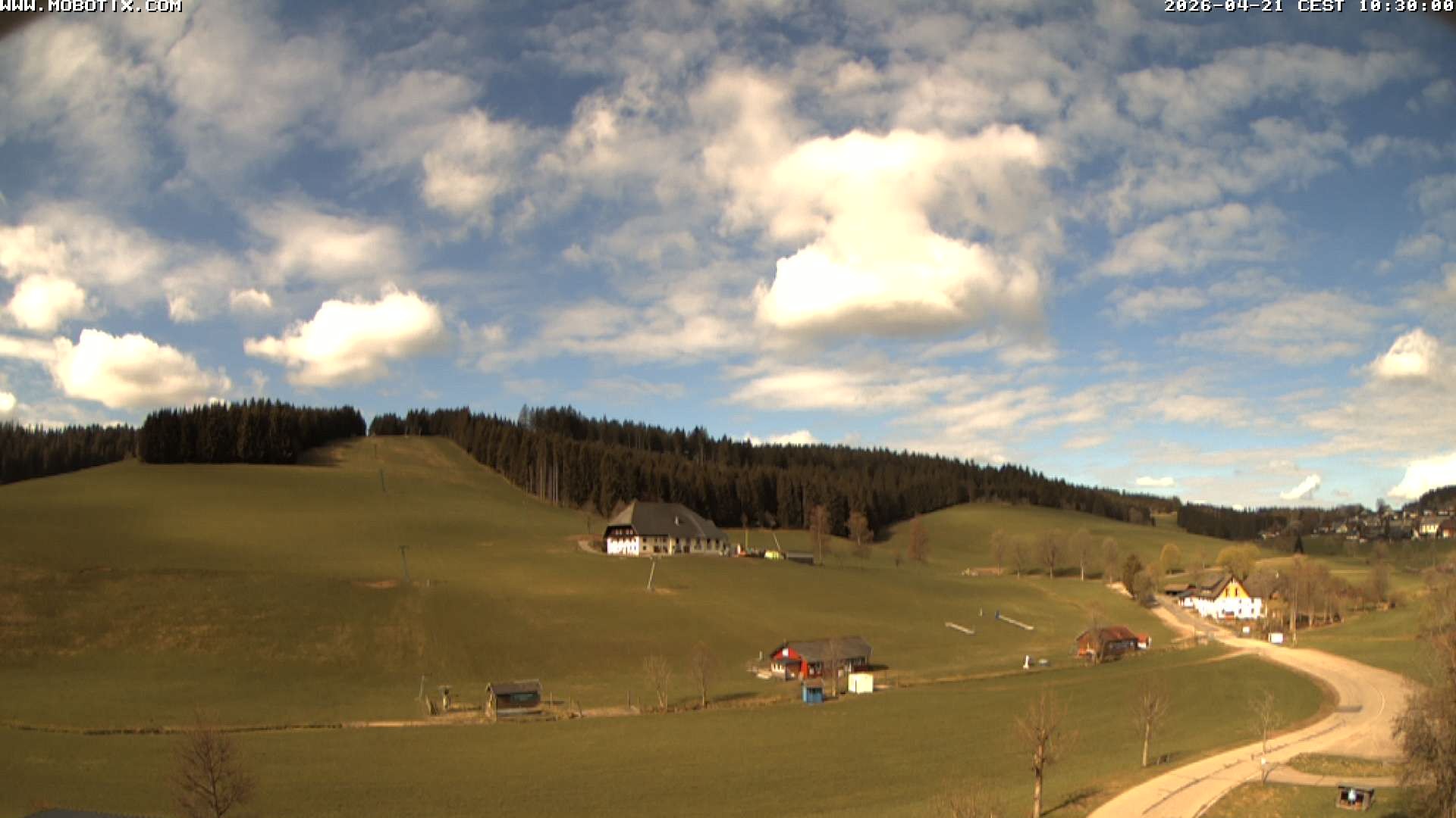 Archiv Foto Webcam Schneeberglift Waldau, Titisee