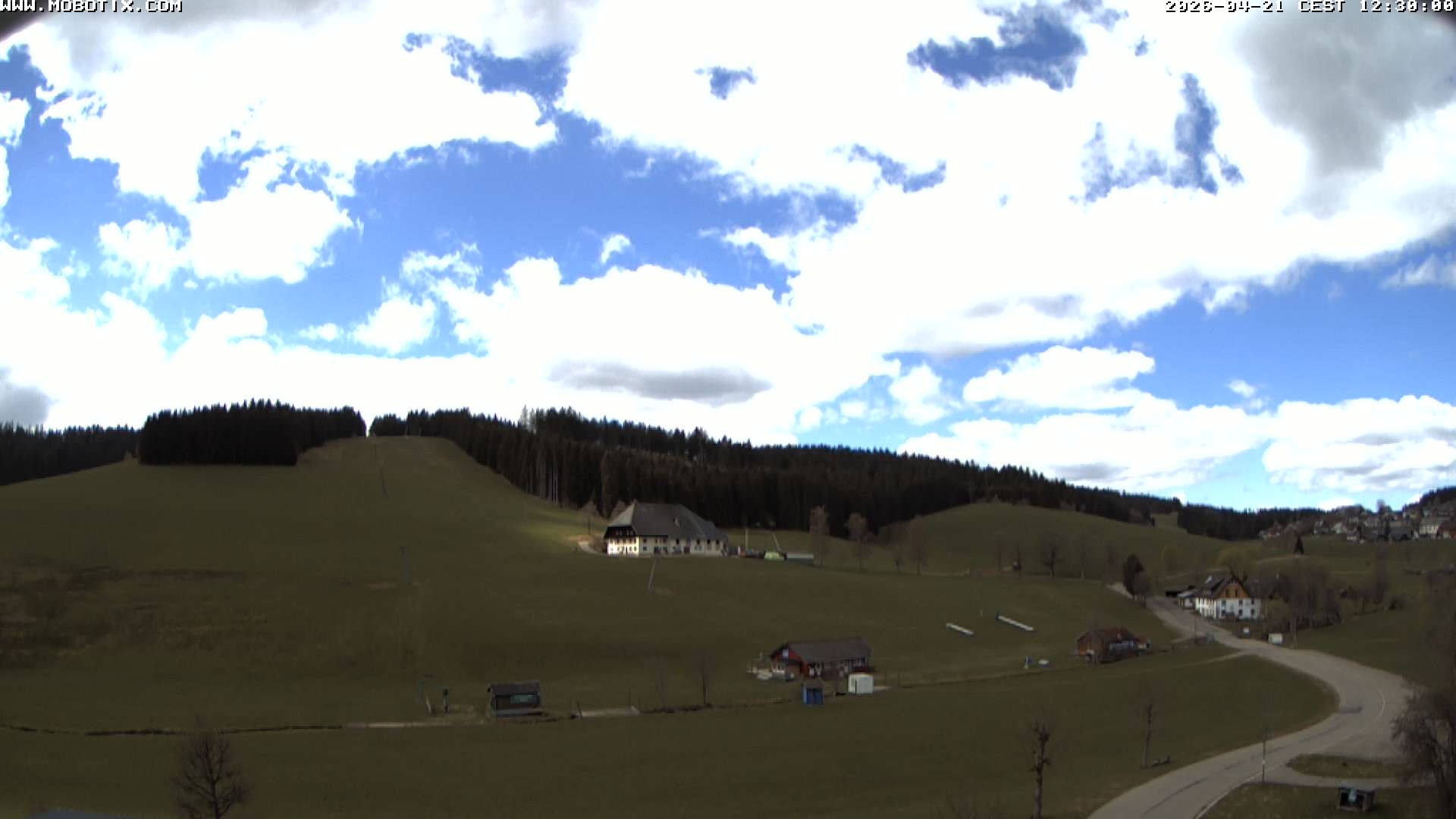 Archiv Foto Webcam Schneeberglift Waldau, Titisee