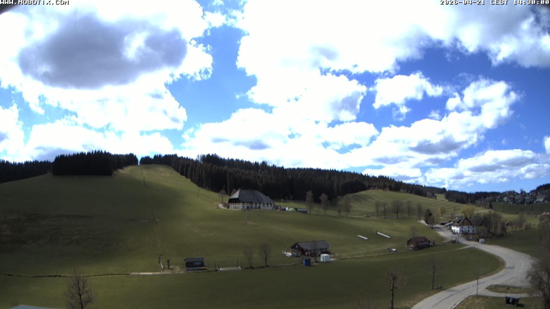 Archiv Foto Webcam Schneeberglift Waldau, Titisee