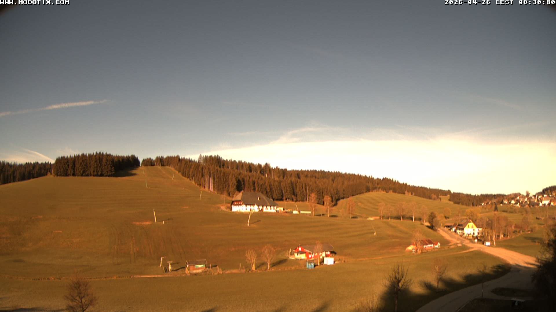 Archiv Foto Webcam Schneeberglift Waldau, Titisee
