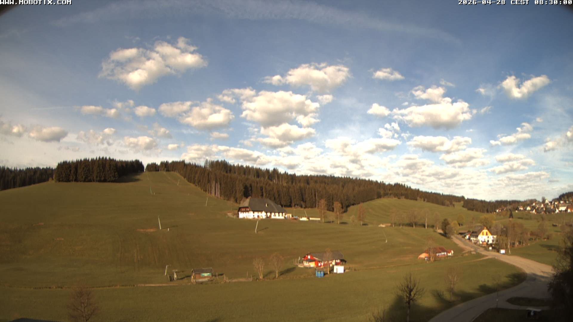 Archived image Webcam Schneeberg ski lift (Titisee)