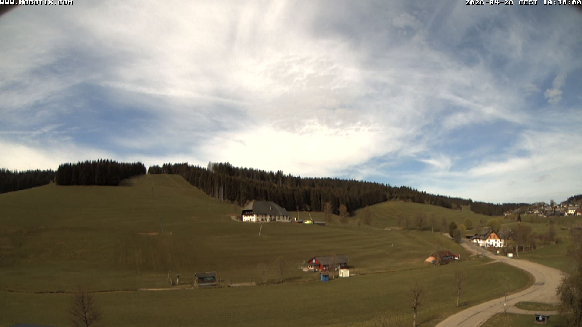 Archived image Webcam Schneeberg ski lift (Titisee)