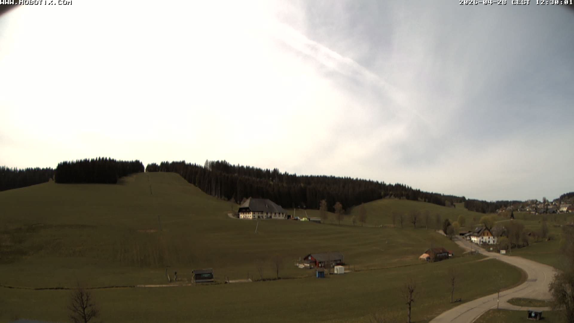 Archived image Webcam Schneeberg ski lift (Titisee)