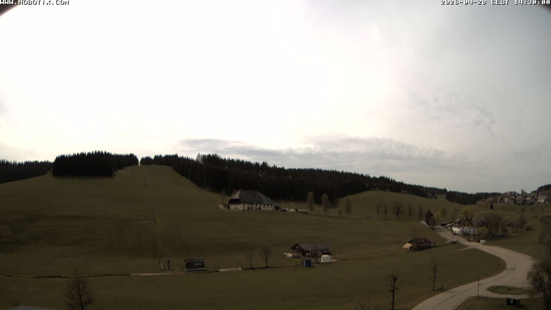 Archived image Webcam Schneeberg ski lift (Titisee)