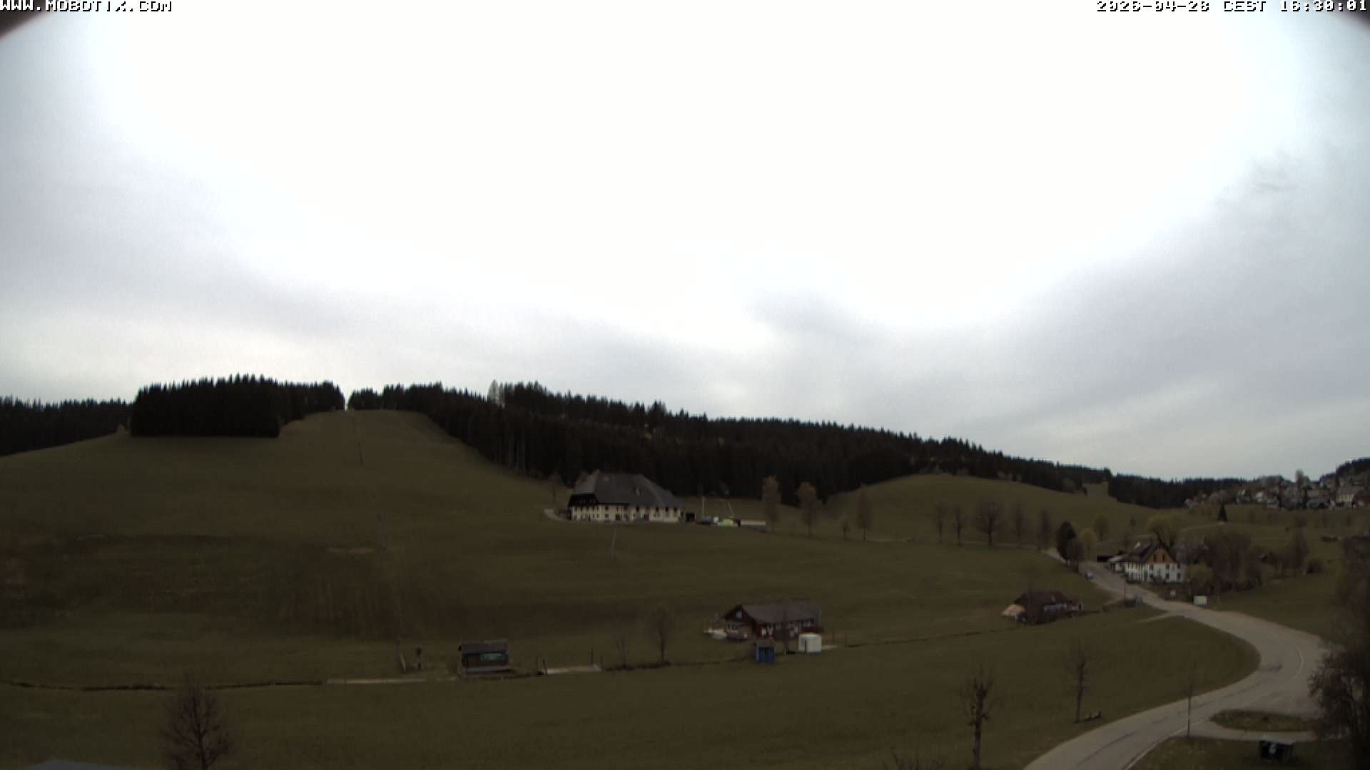 Archived image Webcam Schneeberg ski lift (Titisee)