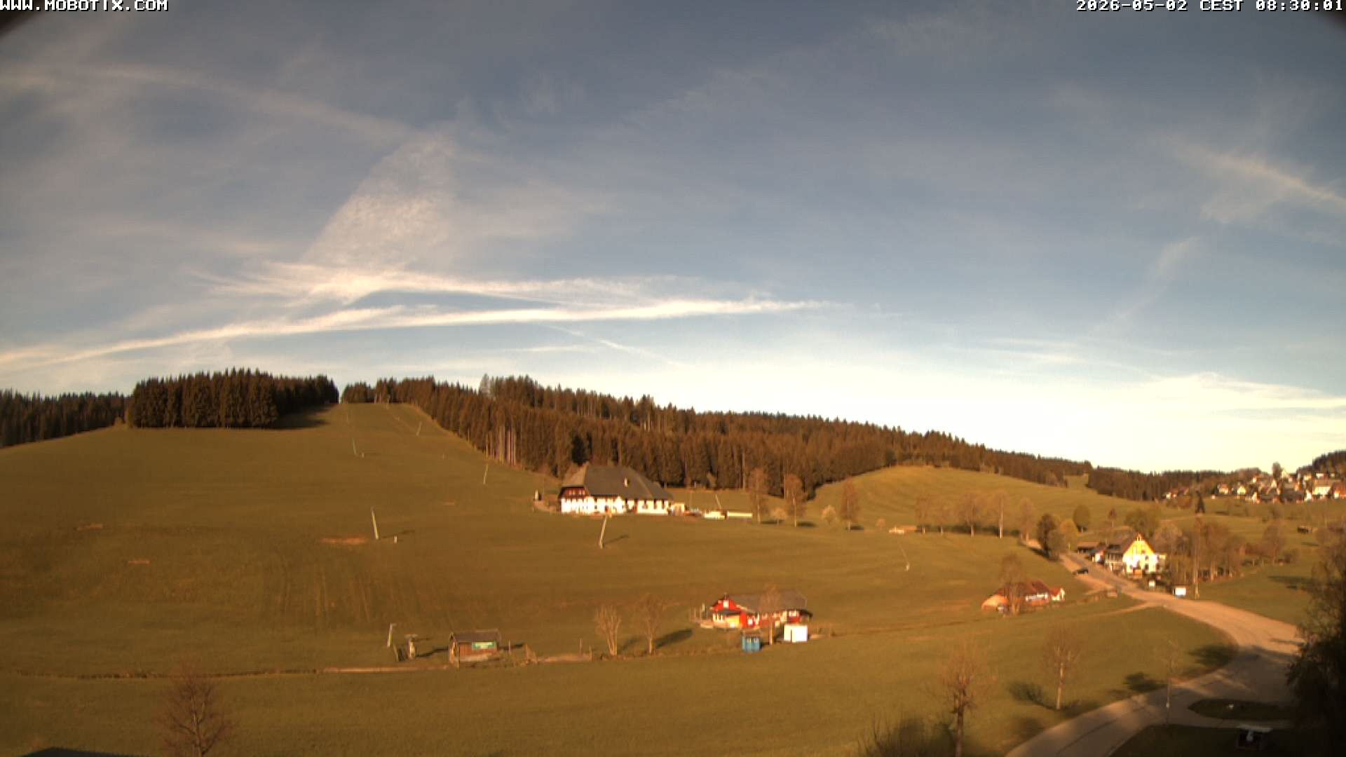 Archiv Foto Webcam Schneeberglift Waldau, Titisee