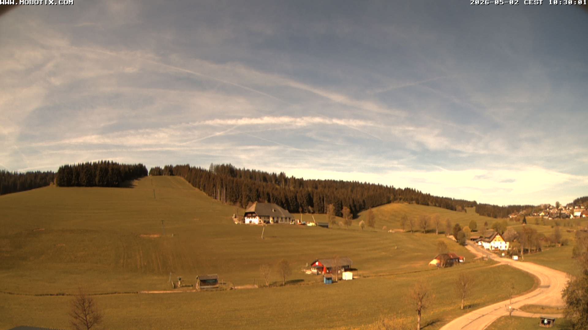 Archiv Foto Webcam Schneeberglift Waldau, Titisee