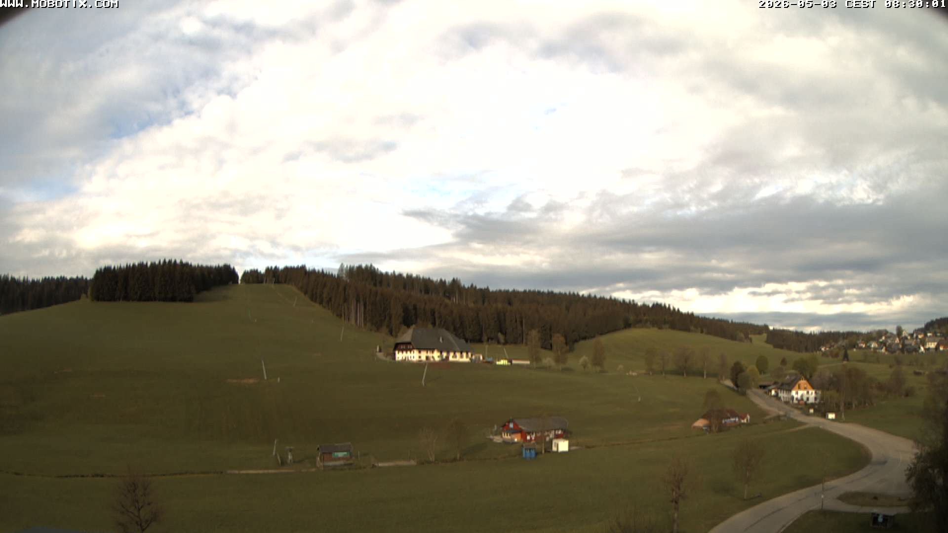 Archiv Foto Webcam Schneeberglift Waldau, Titisee