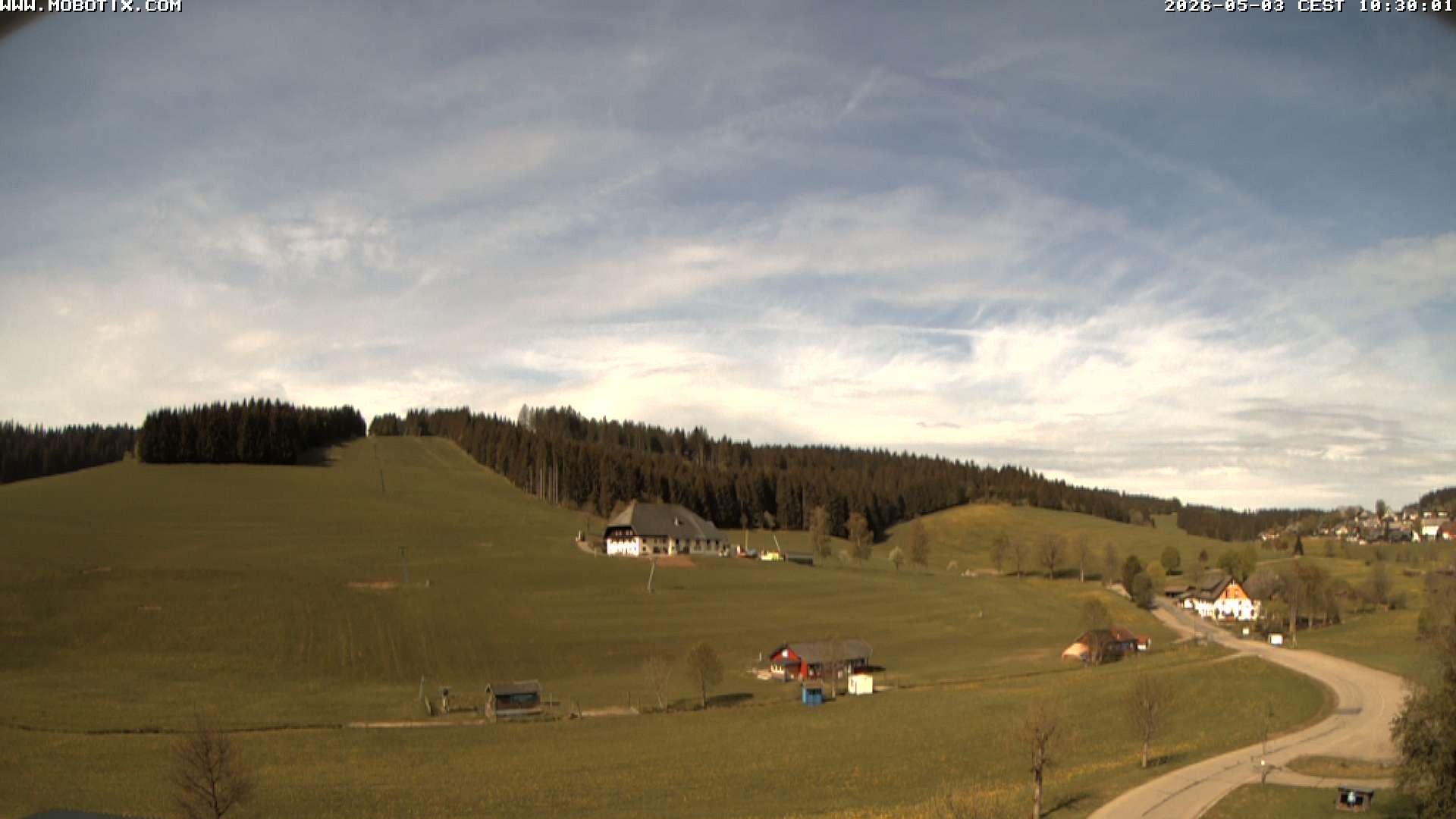 Archiv Foto Webcam Schneeberglift Waldau, Titisee