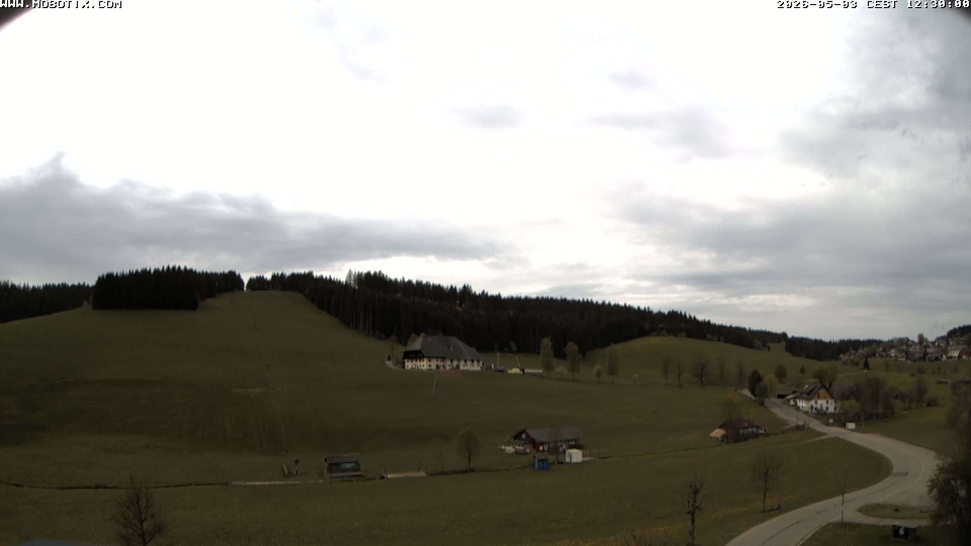 Archiv Foto Webcam Schneeberglift Waldau, Titisee