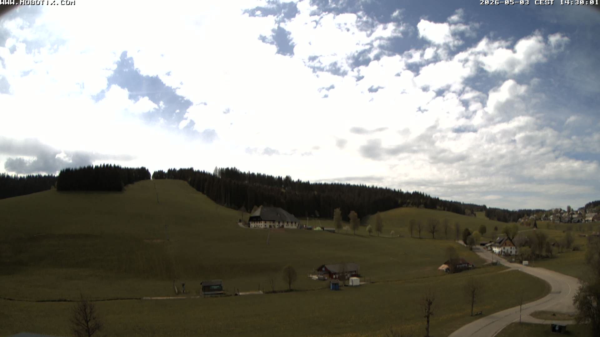 Archiv Foto Webcam Schneeberglift Waldau, Titisee