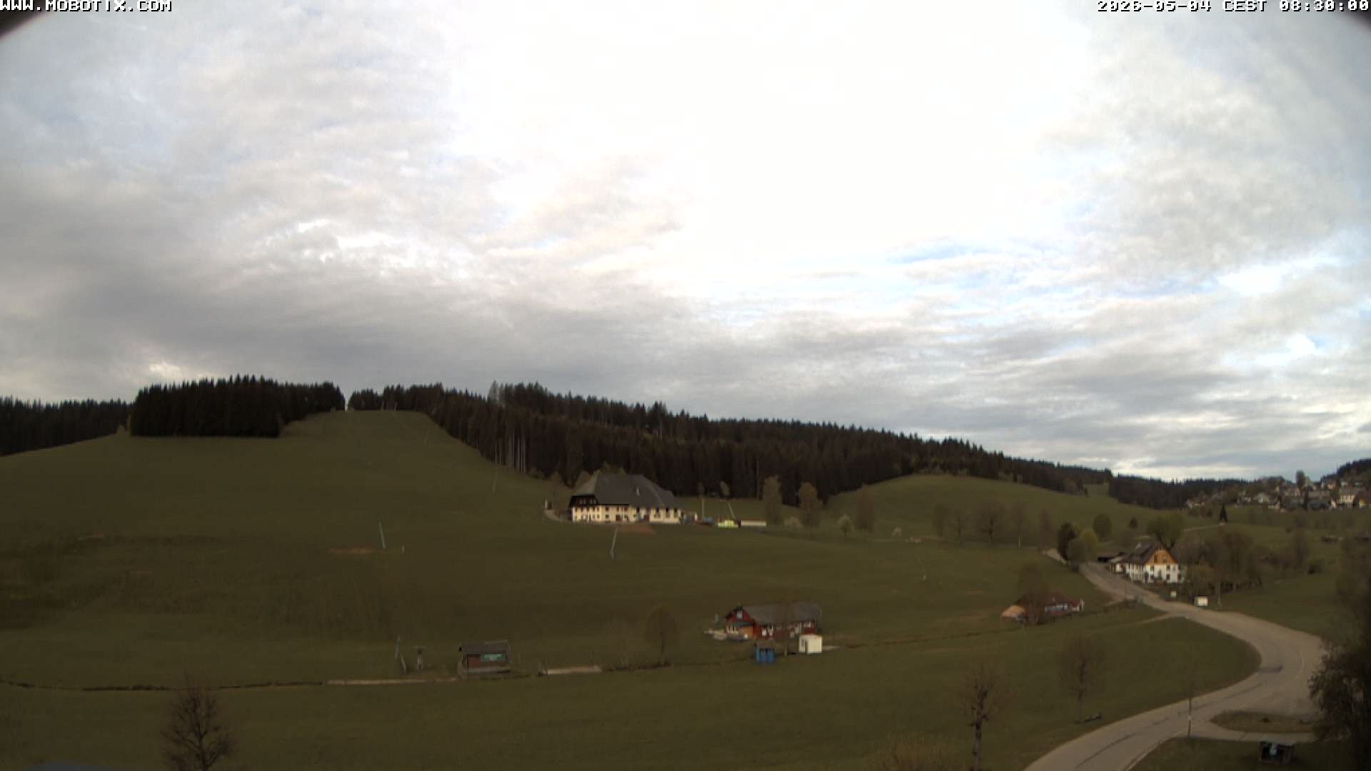 Archiv Foto Webcam Schneeberglift Waldau, Titisee