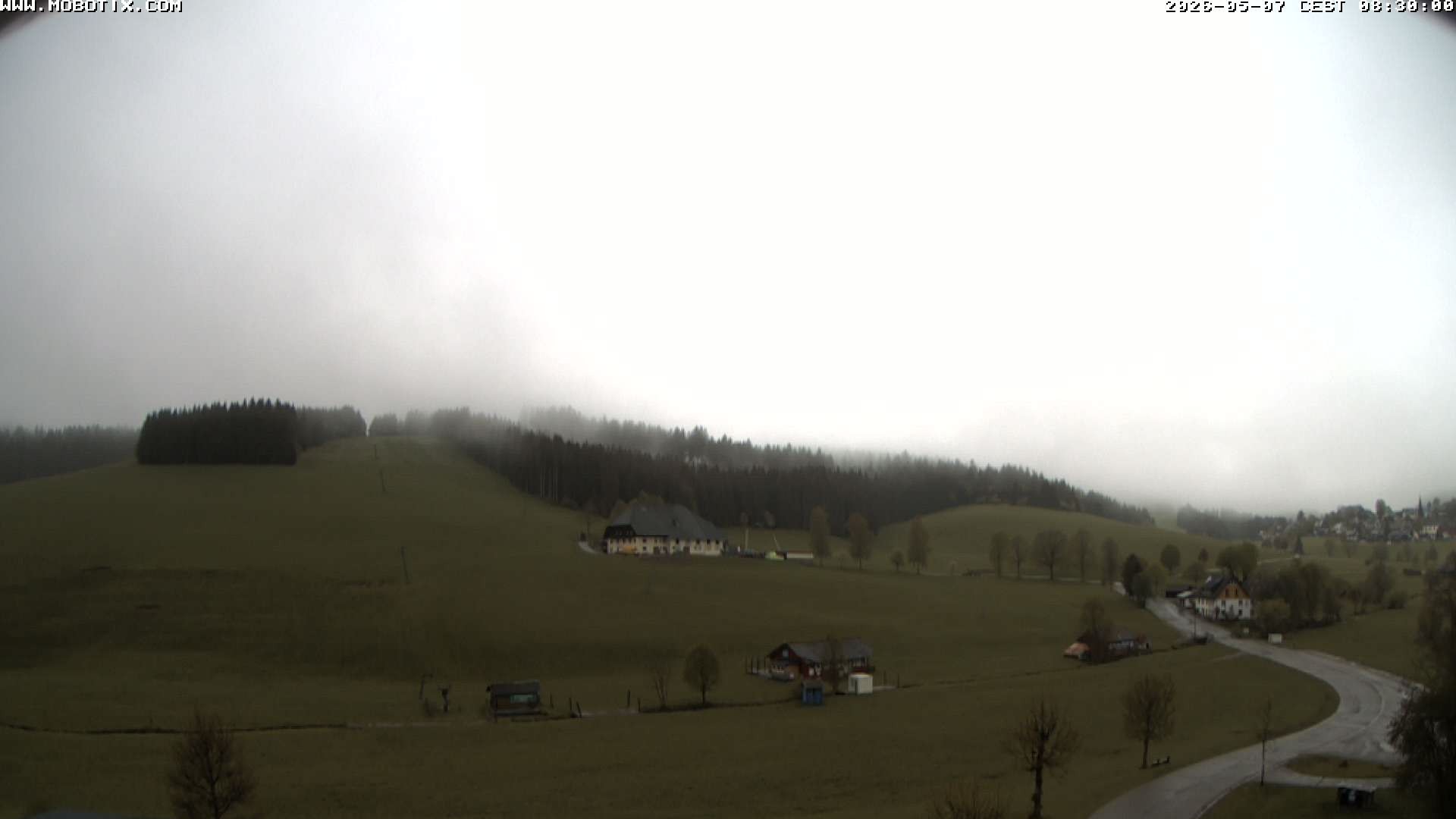 Archiv Foto Webcam Schneeberglift Waldau, Titisee