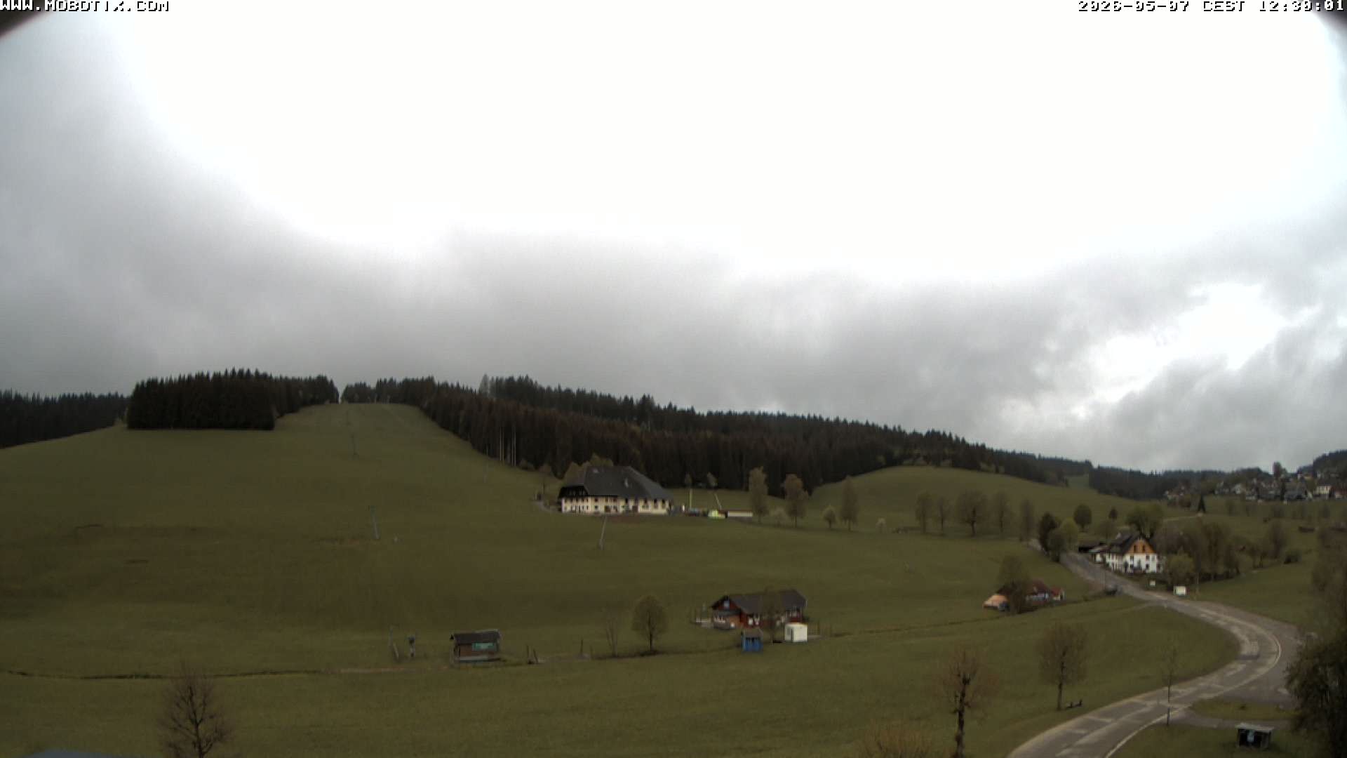 Archiv Foto Webcam Schneeberglift Waldau, Titisee