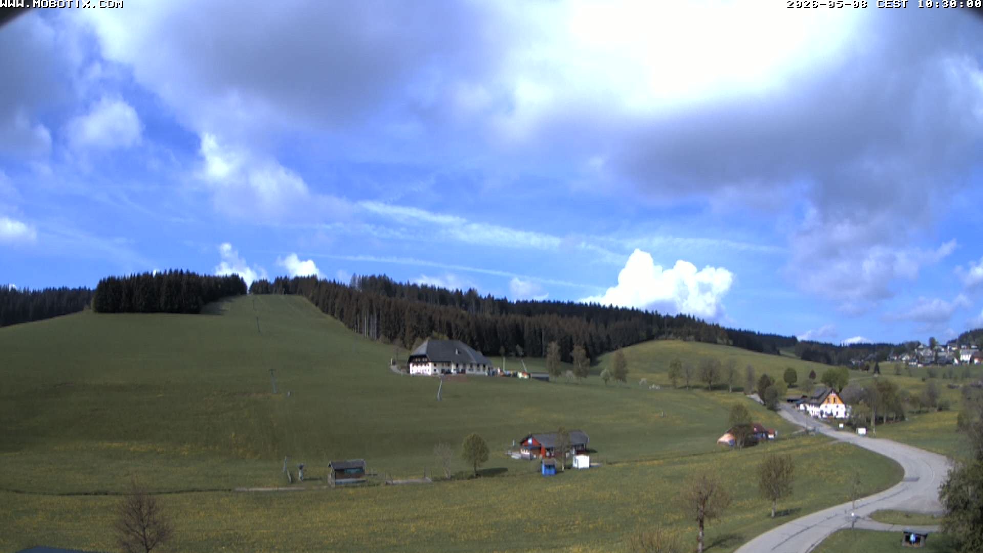 Archiv Foto Webcam Schneeberglift Waldau, Titisee