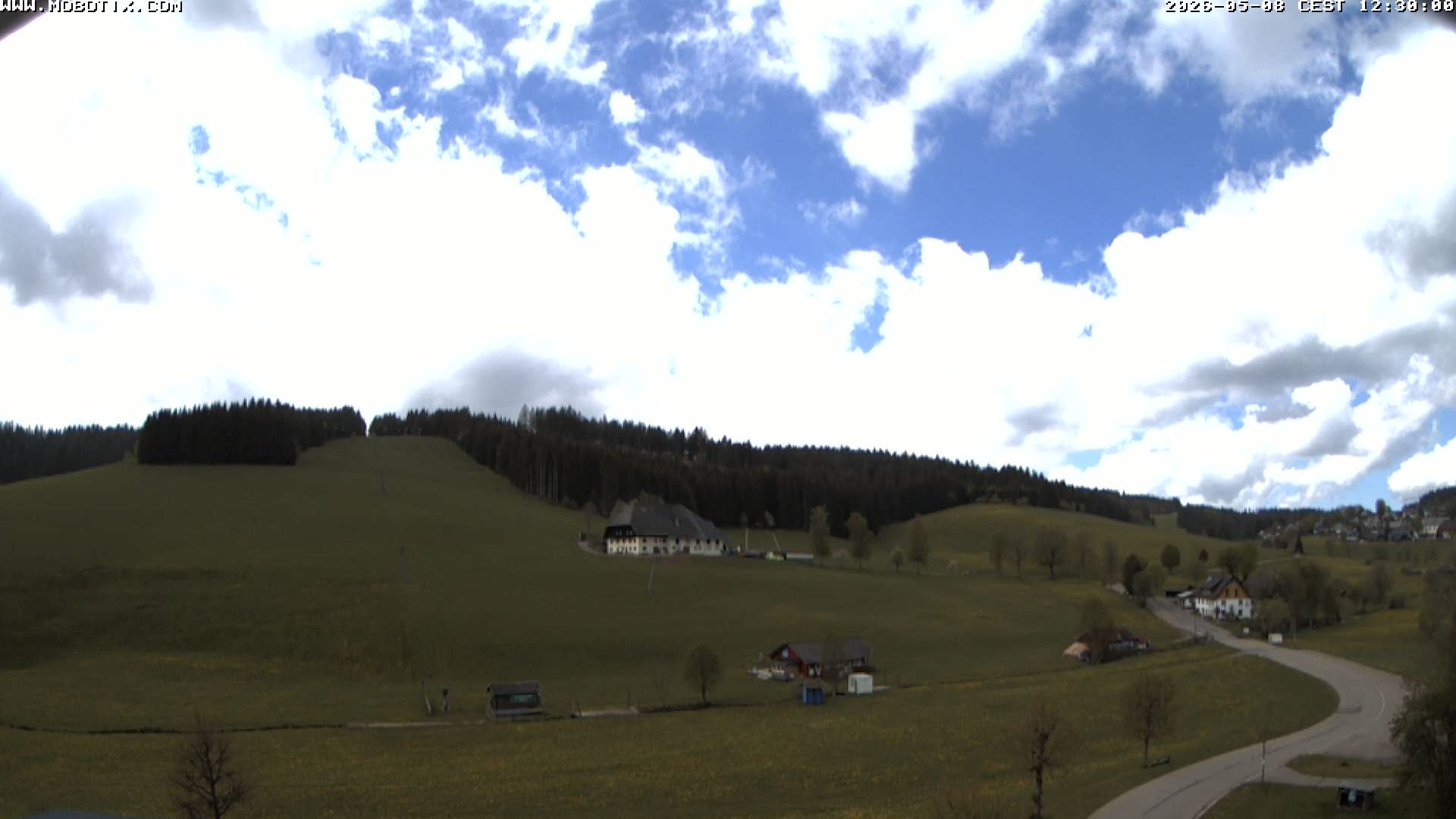 Archiv Foto Webcam Schneeberglift Waldau, Titisee