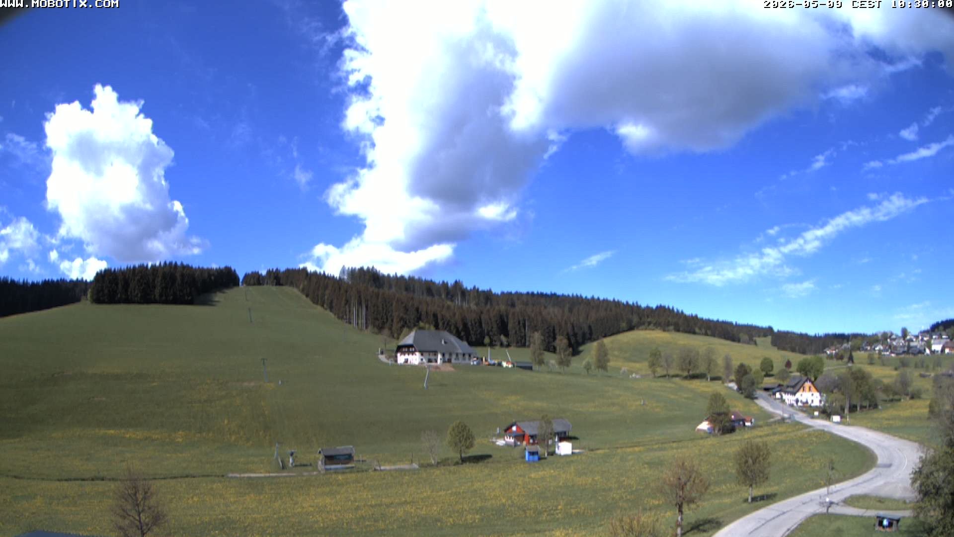 Archiv Foto Webcam Schneeberglift Waldau, Titisee
