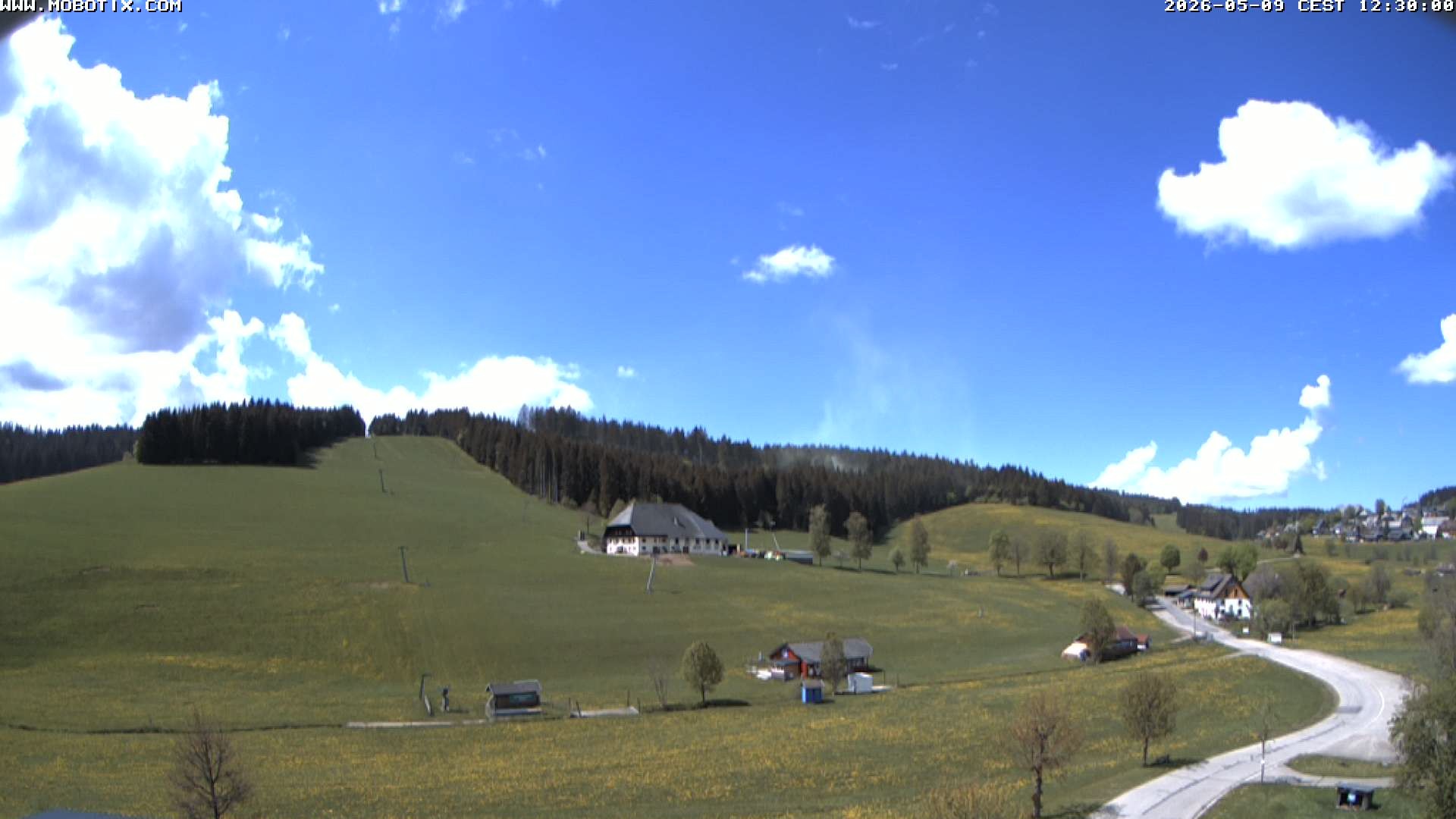 Archiv Foto Webcam Schneeberglift Waldau, Titisee