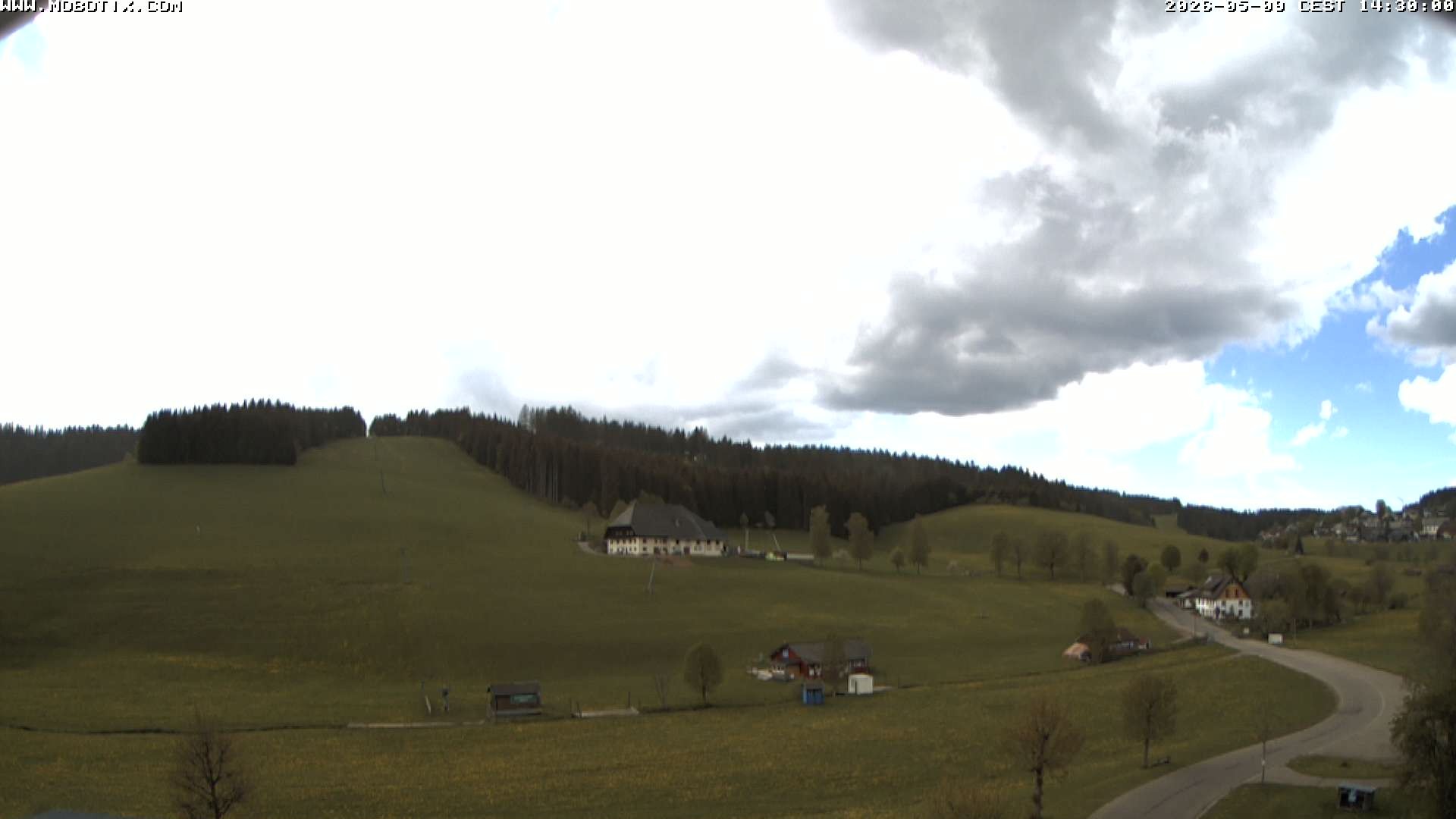Archiv Foto Webcam Schneeberglift Waldau, Titisee