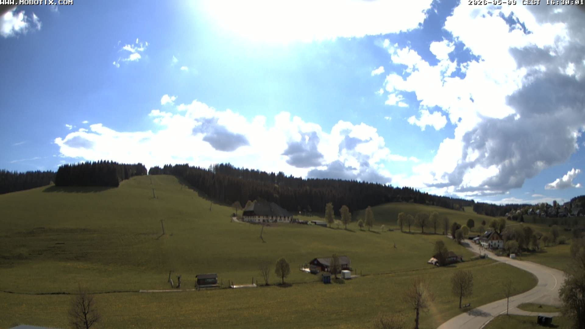 Archiv Foto Webcam Schneeberglift Waldau, Titisee