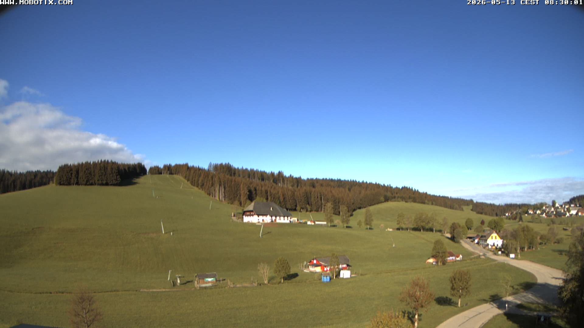 Archiv Foto Webcam Schneeberglift Waldau, Titisee