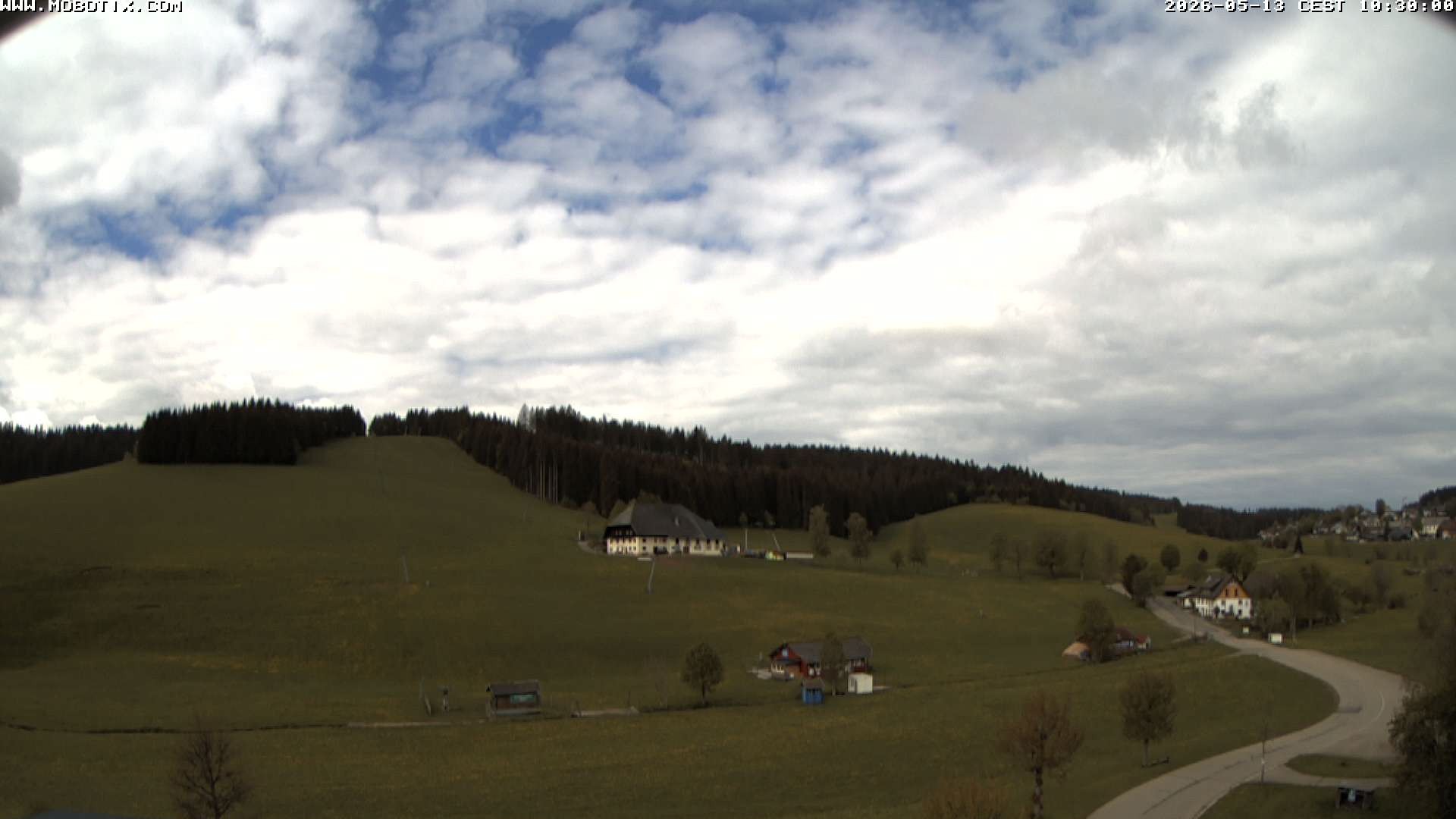 Archiv Foto Webcam Schneeberglift Waldau, Titisee