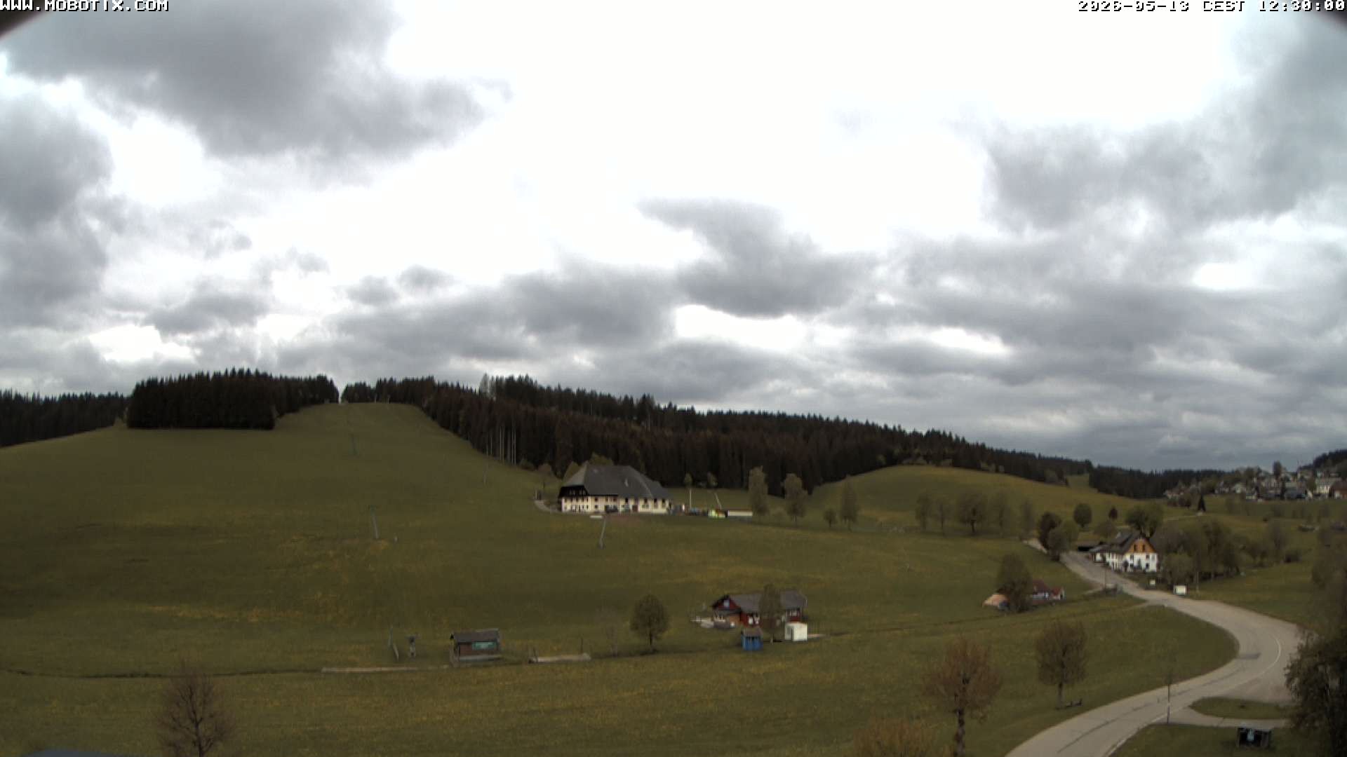 Archiv Foto Webcam Schneeberglift Waldau, Titisee