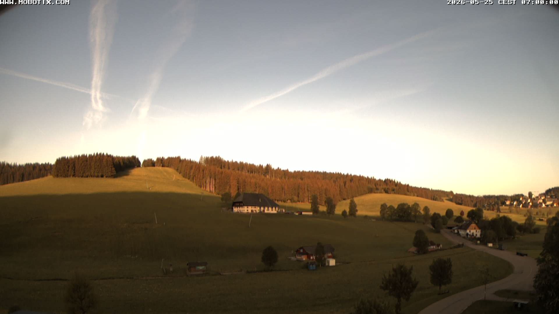 Archived image Webcam Schneeberg ski lift (Titisee)