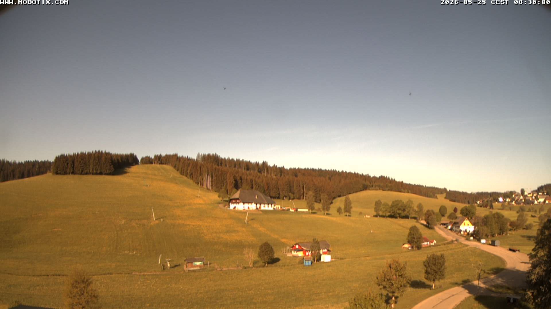 Archived image Webcam Schneeberg ski lift (Titisee)
