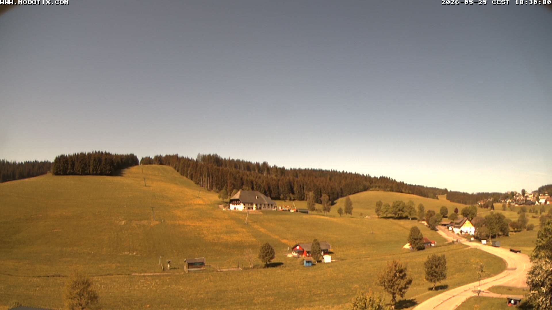 Archived image Webcam Schneeberg ski lift (Titisee)