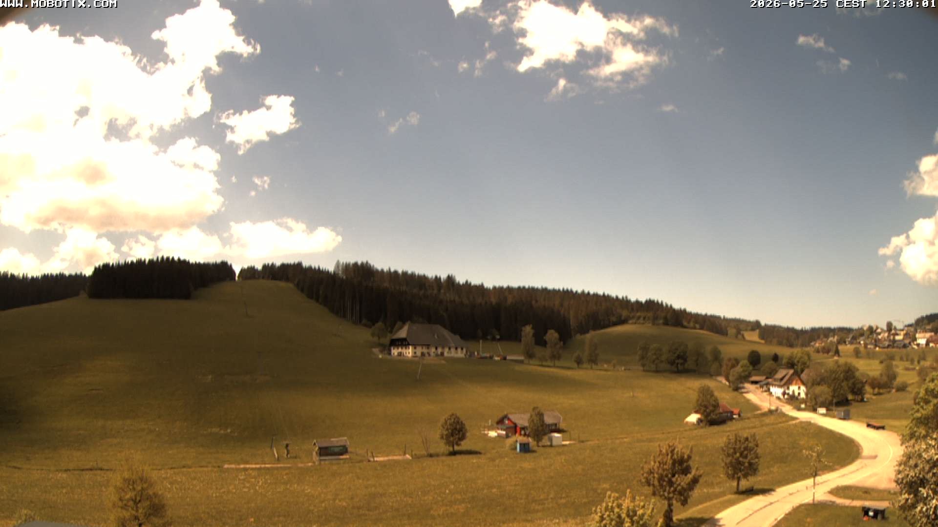 Archived image Webcam Schneeberg ski lift (Titisee)