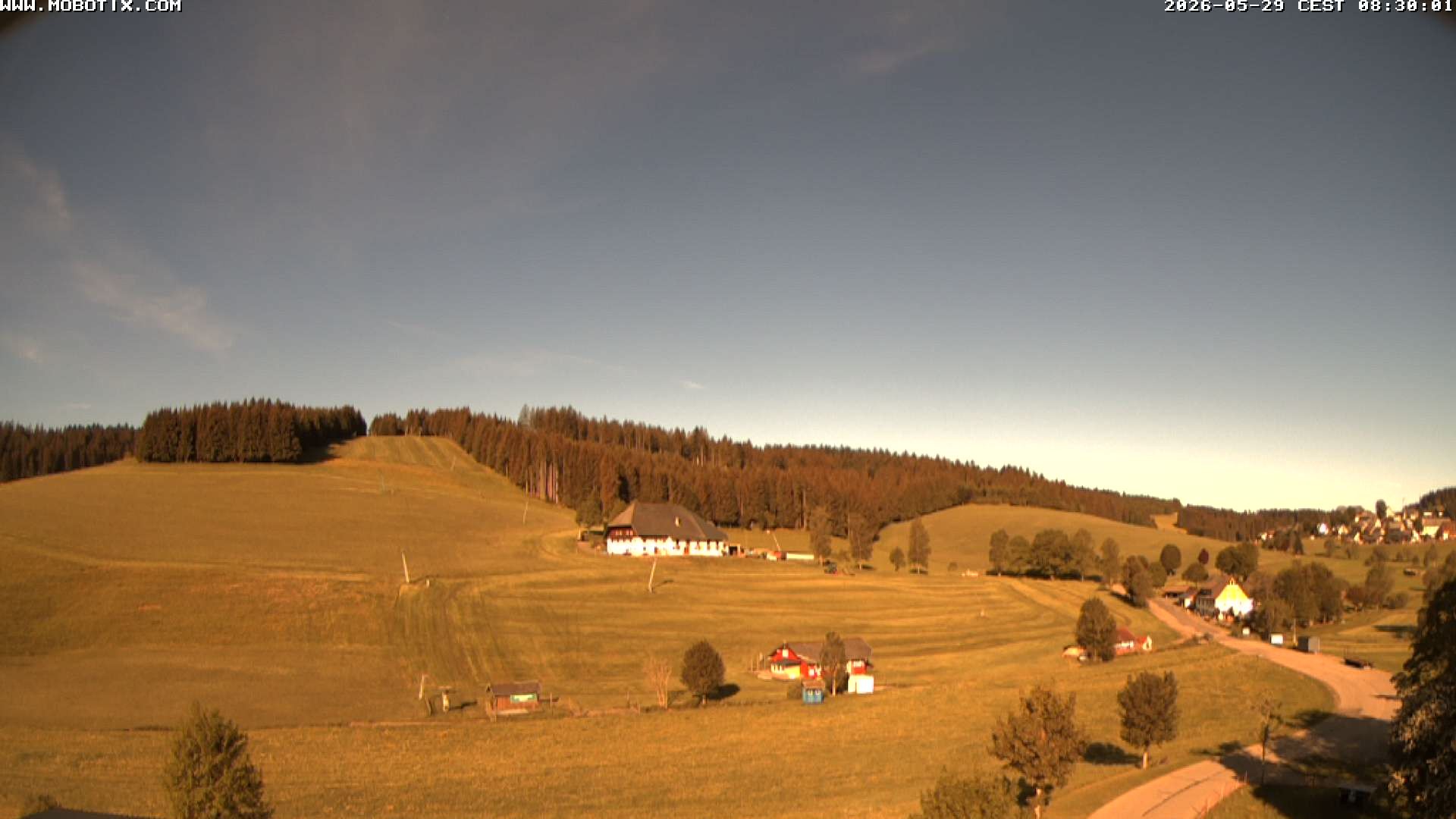 Archiv Foto Webcam Schneeberglift Waldau, Titisee