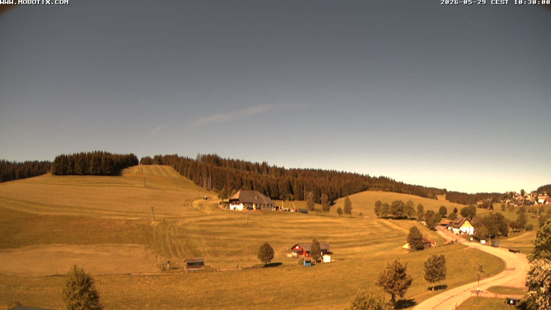 Archiv Foto Webcam Schneeberglift Waldau, Titisee