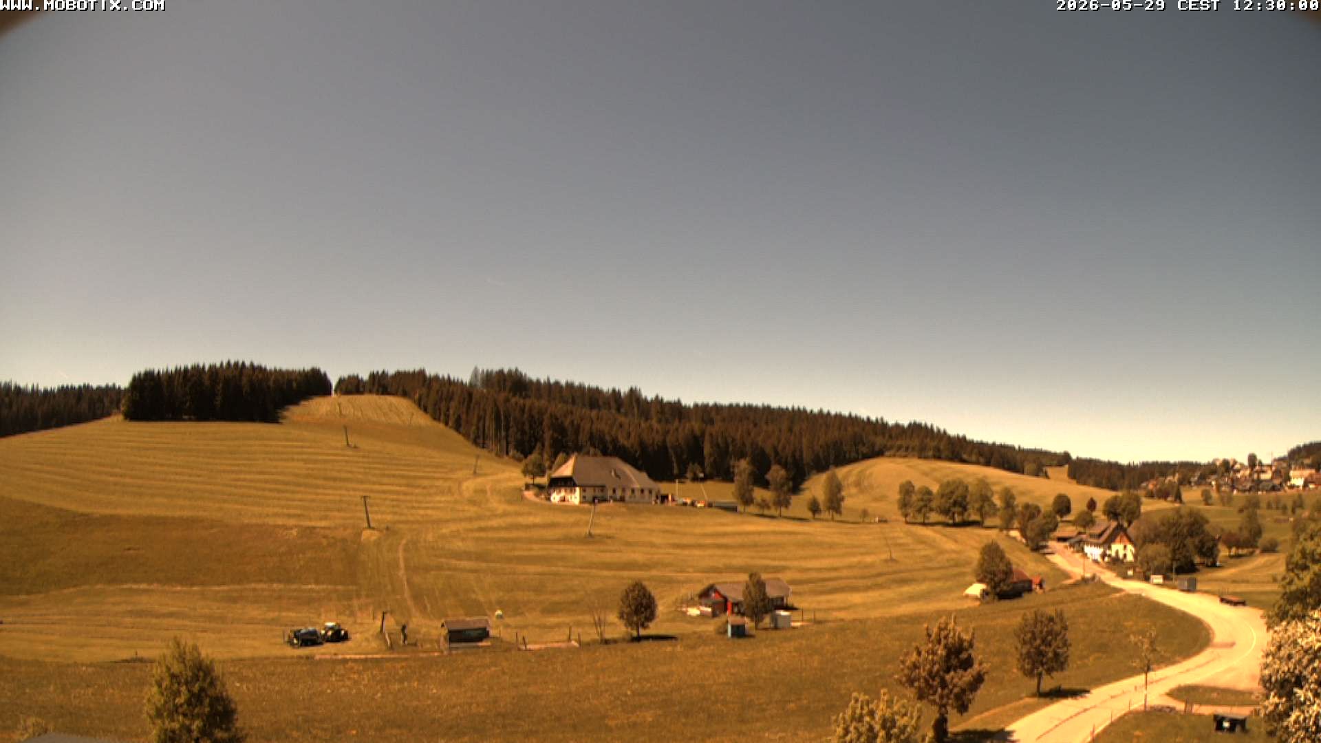 Archiv Foto Webcam Schneeberglift Waldau, Titisee
