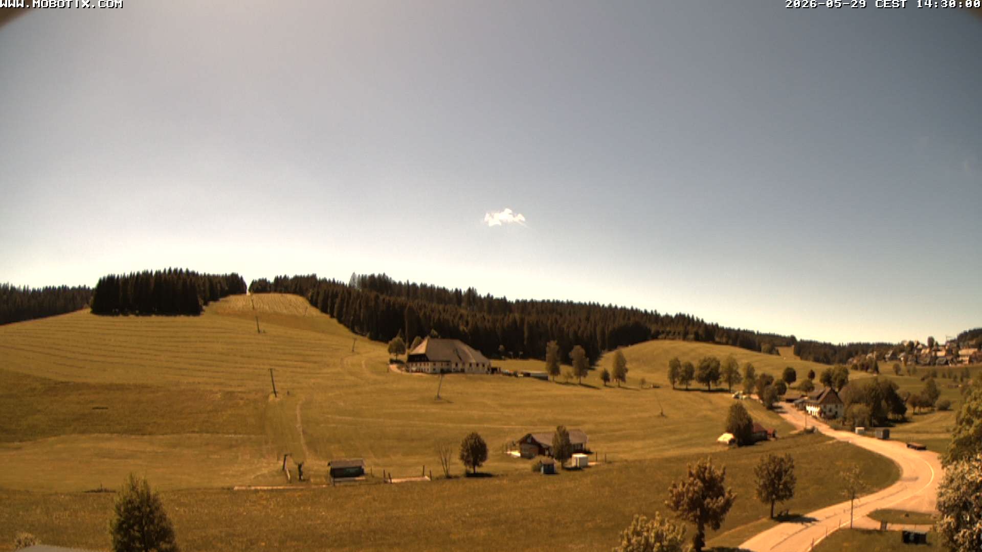 Archiv Foto Webcam Schneeberglift Waldau, Titisee