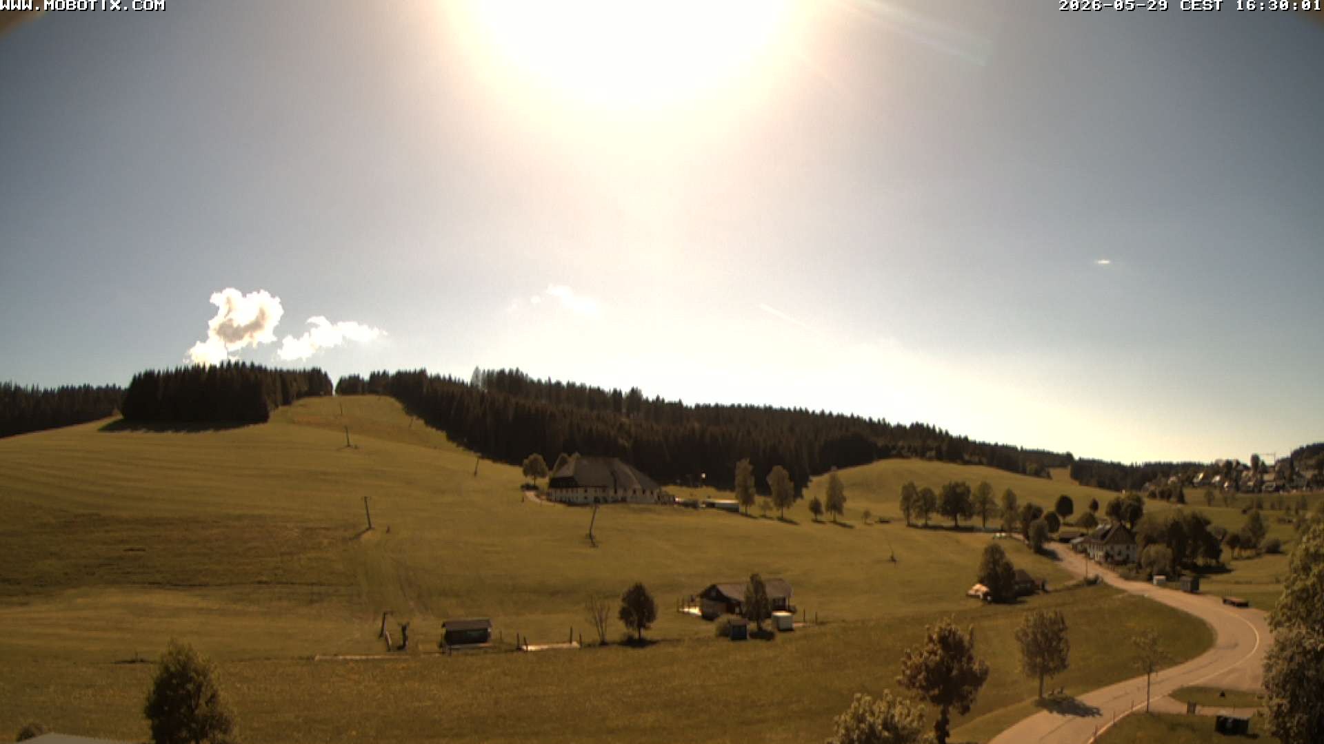 Archiv Foto Webcam Schneeberglift Waldau, Titisee