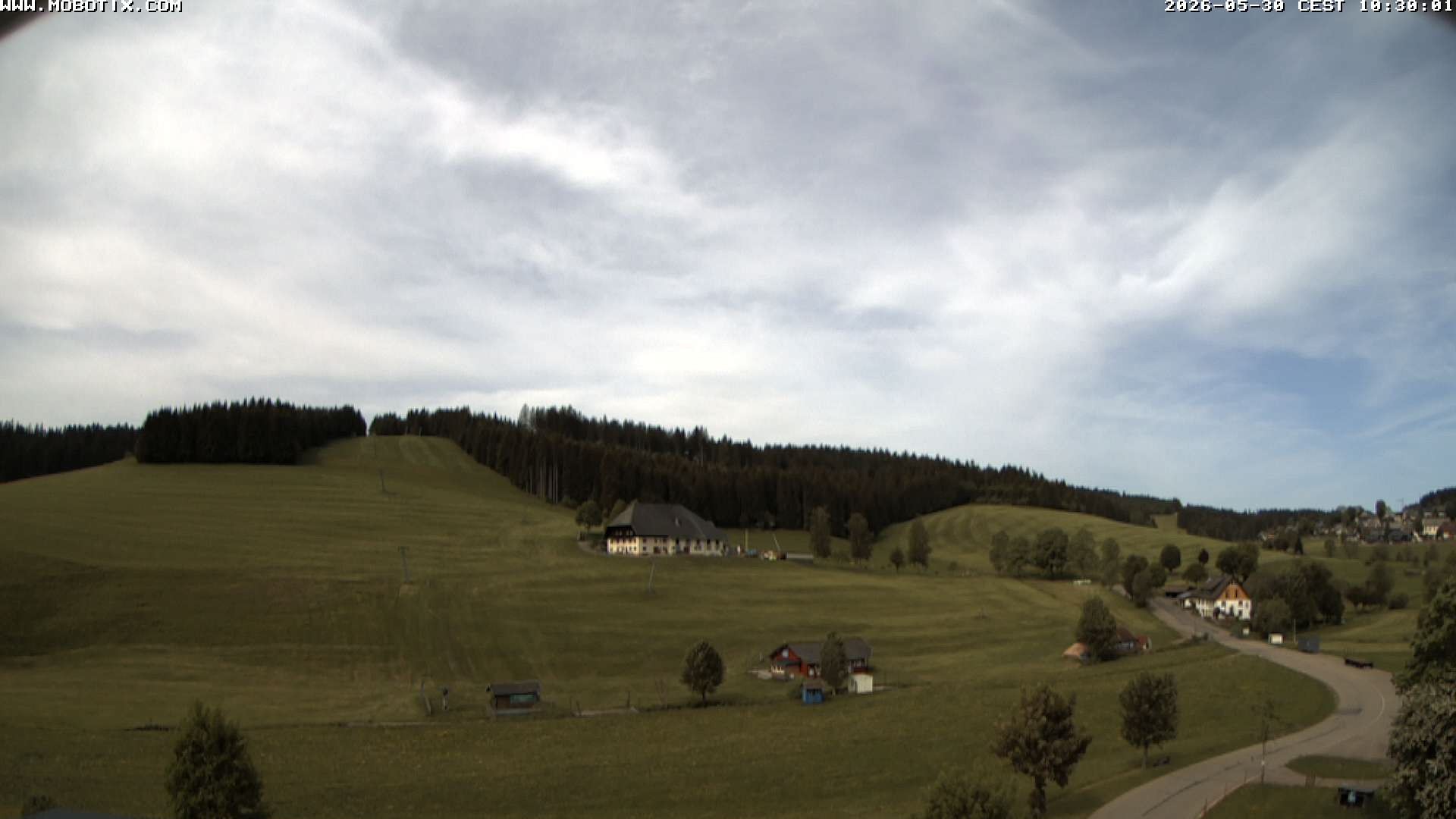 Archived image Webcam Schneeberg ski lift (Titisee)