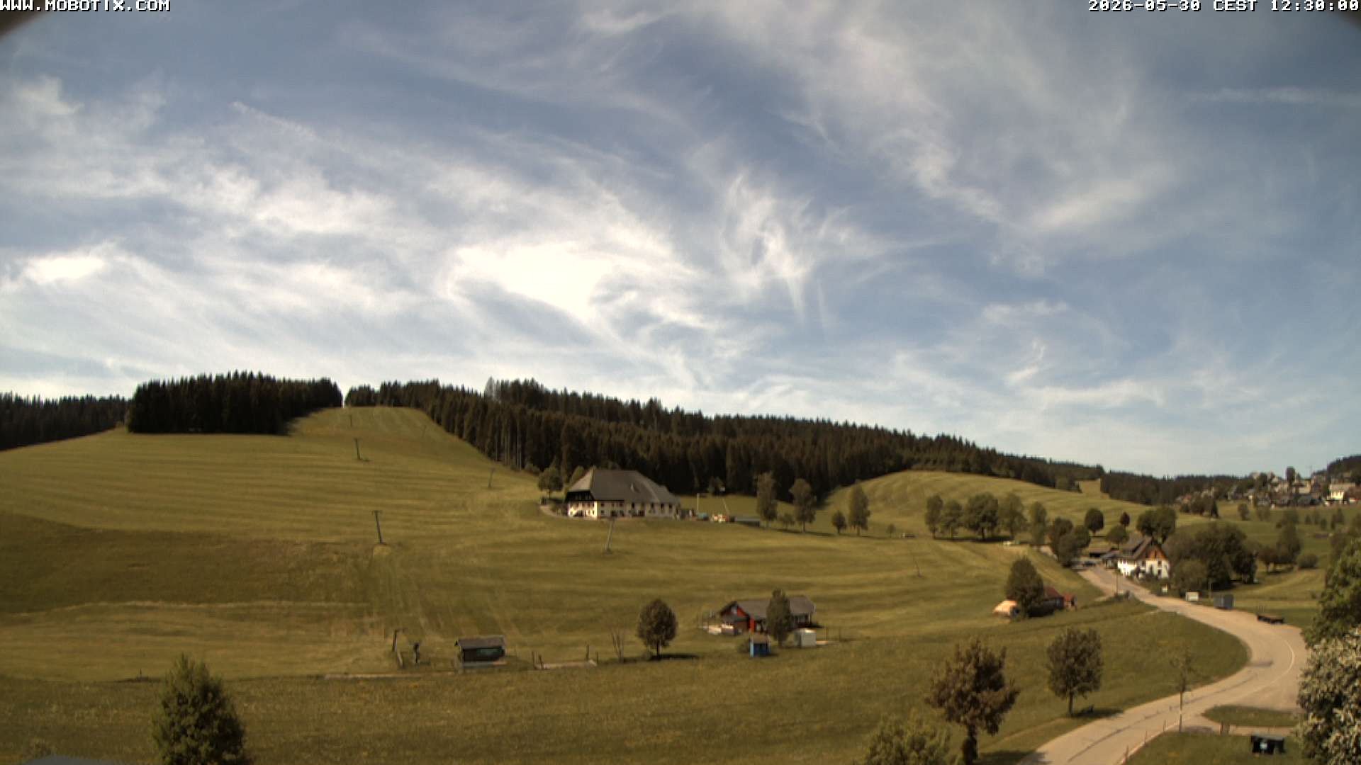 Archived image Webcam Schneeberg ski lift (Titisee)