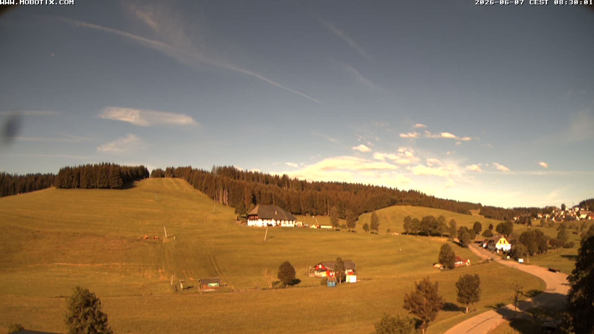 Archiv Foto Webcam Schneeberglift Waldau, Titisee