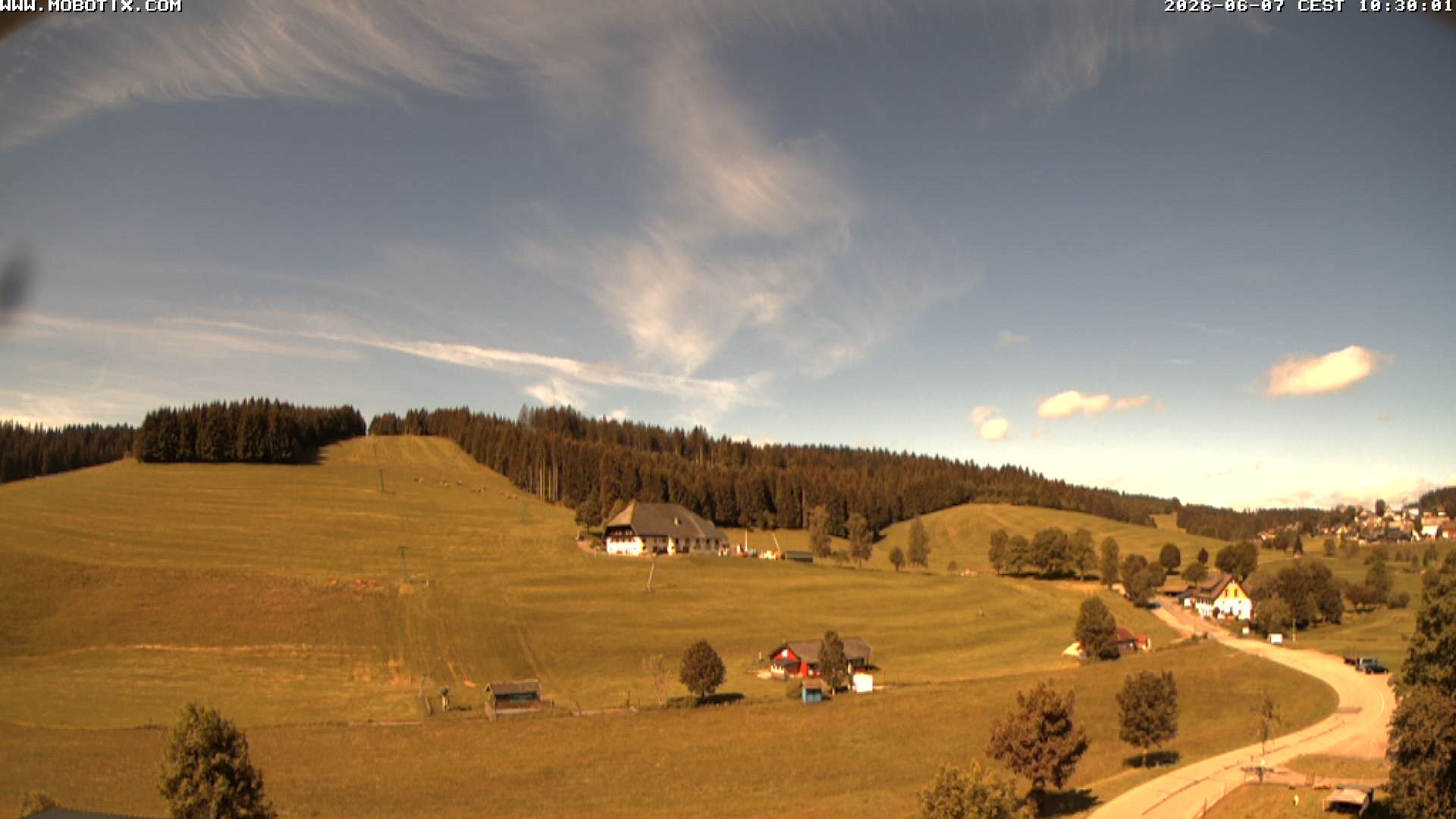 Archiv Foto Webcam Schneeberglift Waldau, Titisee