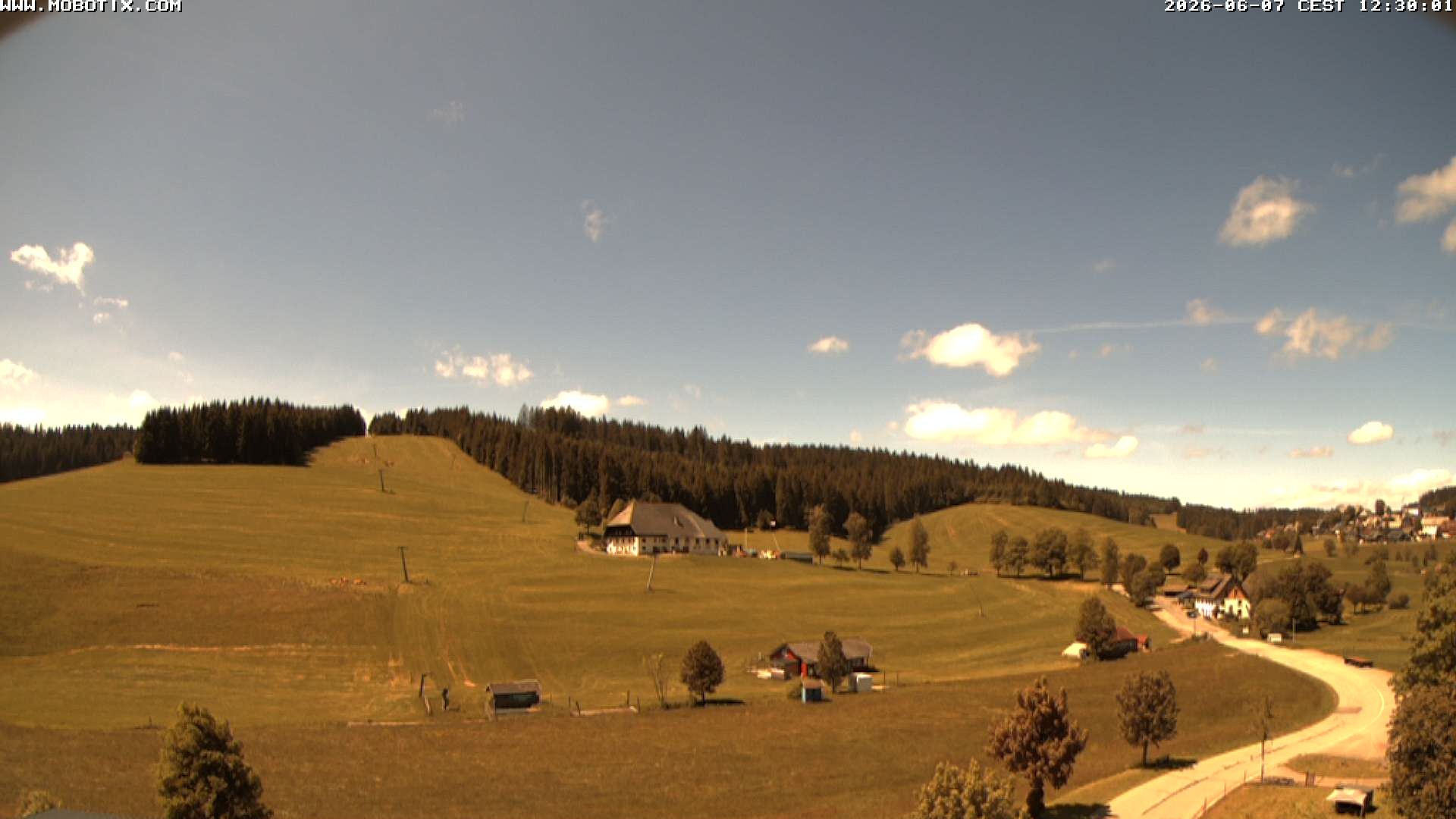 Archiv Foto Webcam Schneeberglift Waldau, Titisee
