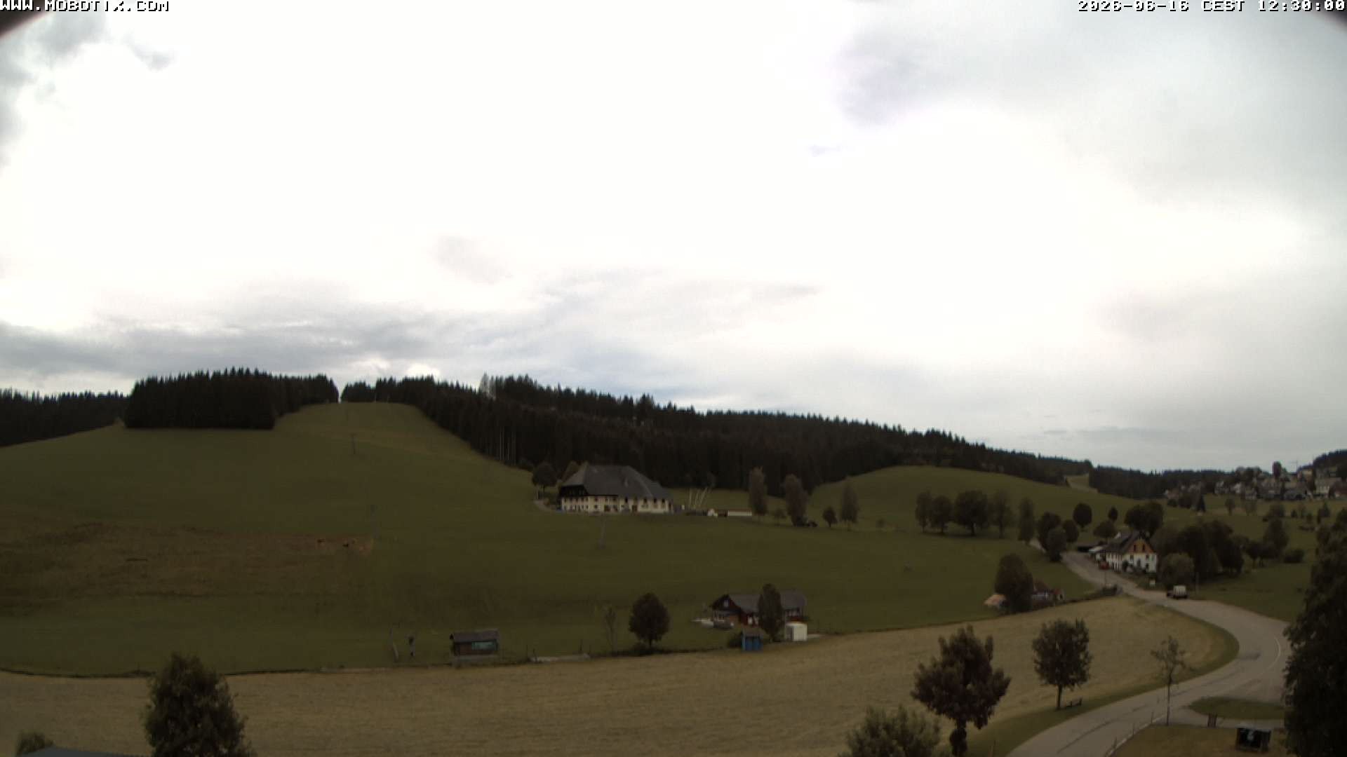 Archiv Foto Webcam Schneeberglift Waldau, Titisee