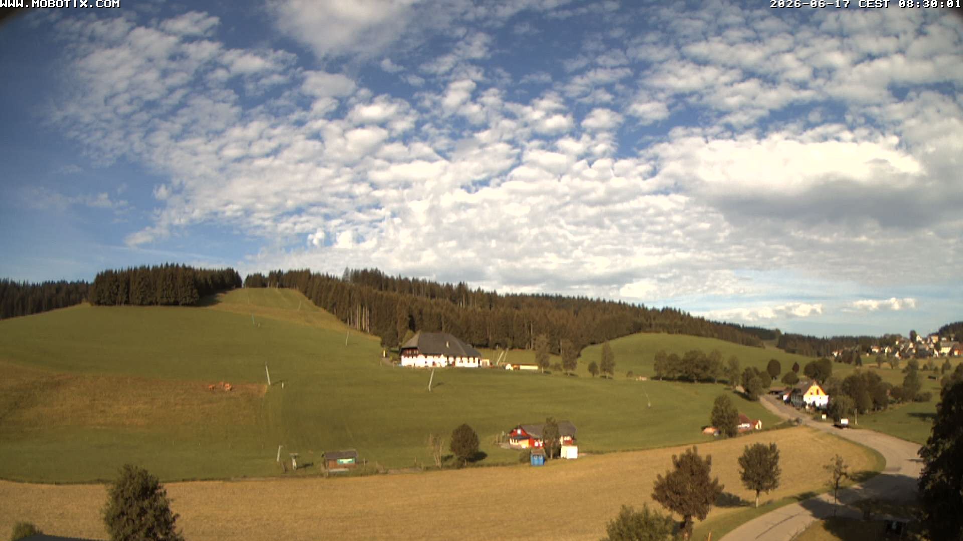 Archiv Foto Webcam Schneeberglift Waldau, Titisee