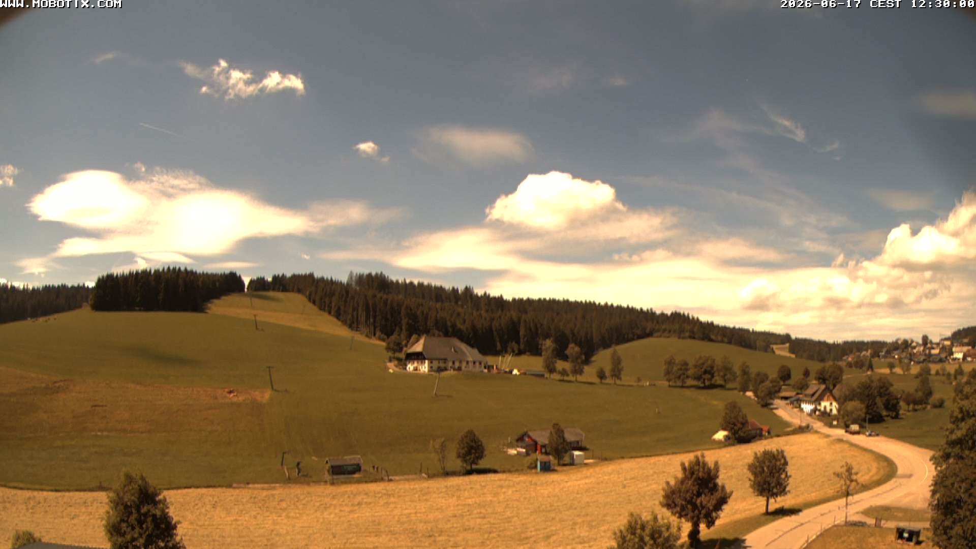 Archiv Foto Webcam Schneeberglift Waldau, Titisee